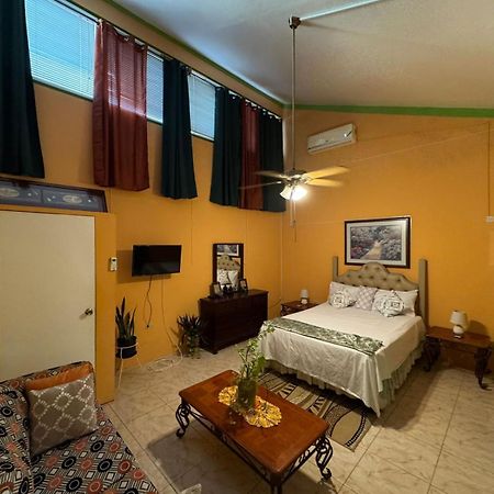 קינגסטון Shalom Suite 2, Manor Park מראה חיצוני תמונה