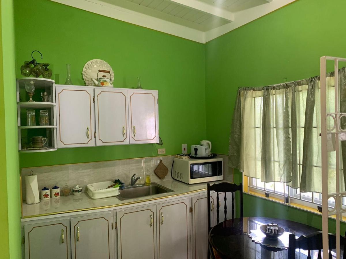 קינגסטון Shalom Suite 2, Manor Park מראה חיצוני תמונה