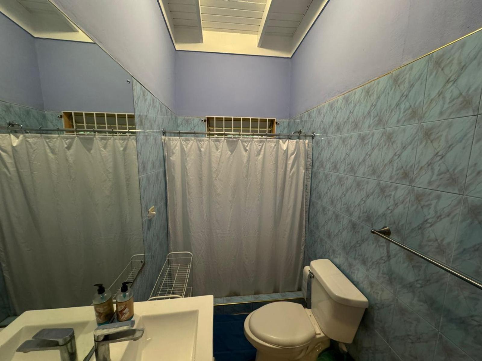 קינגסטון Shalom Suite 2, Manor Park מראה חיצוני תמונה