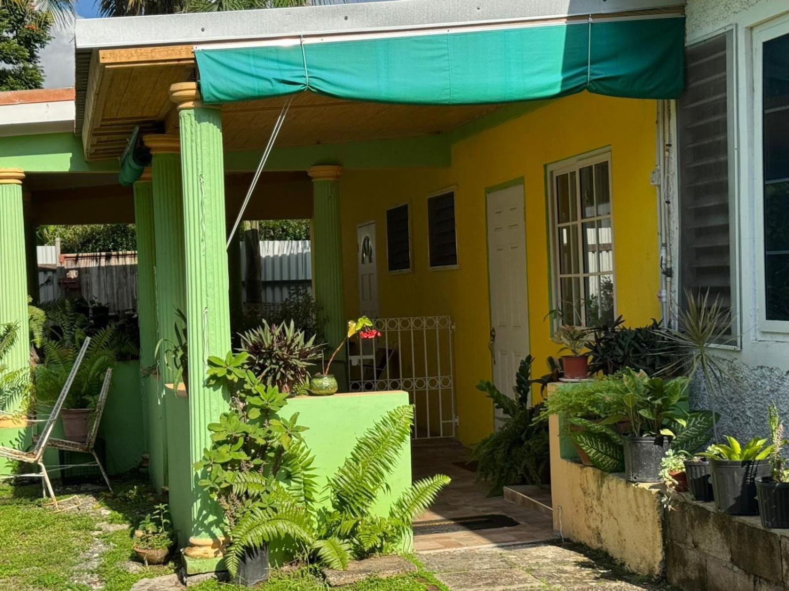 קינגסטון Shalom Suite 2, Manor Park מראה חיצוני תמונה