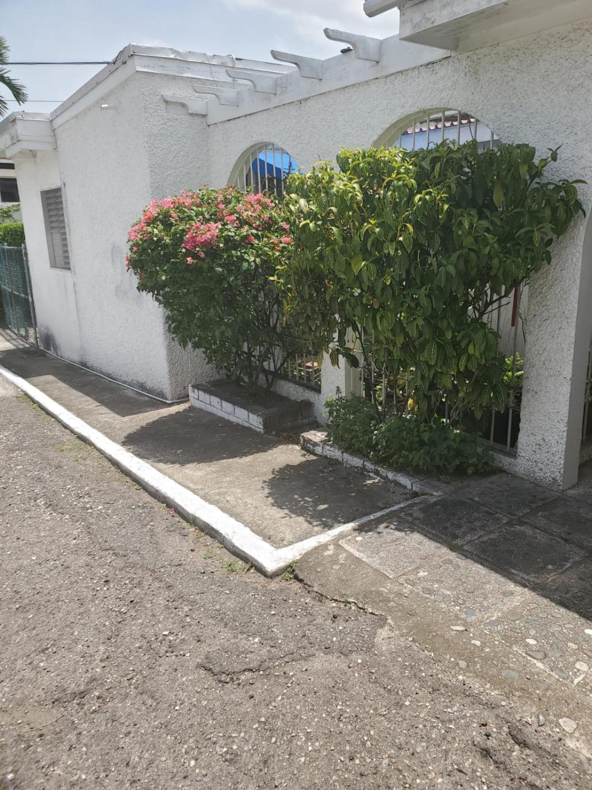 קינגסטון Shalom Suite 2, Manor Park מראה חיצוני תמונה